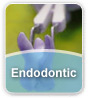 Endodontic Endodontic
