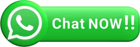 Chat Now